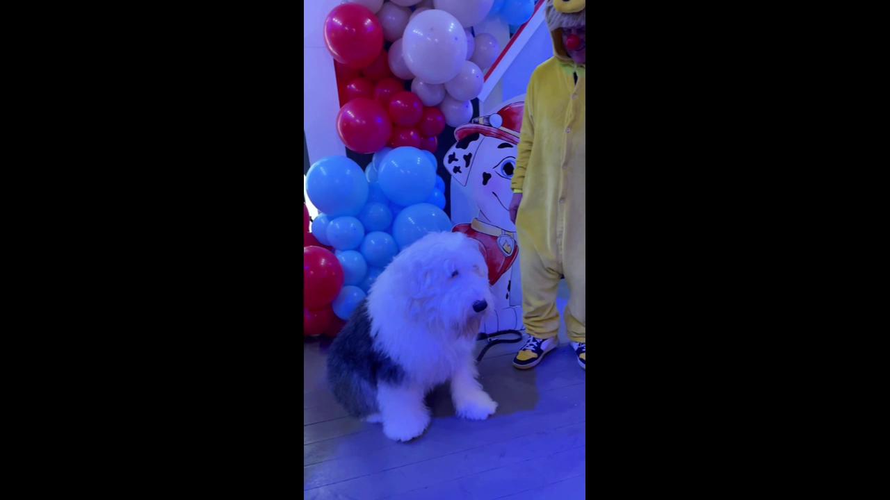 video preview